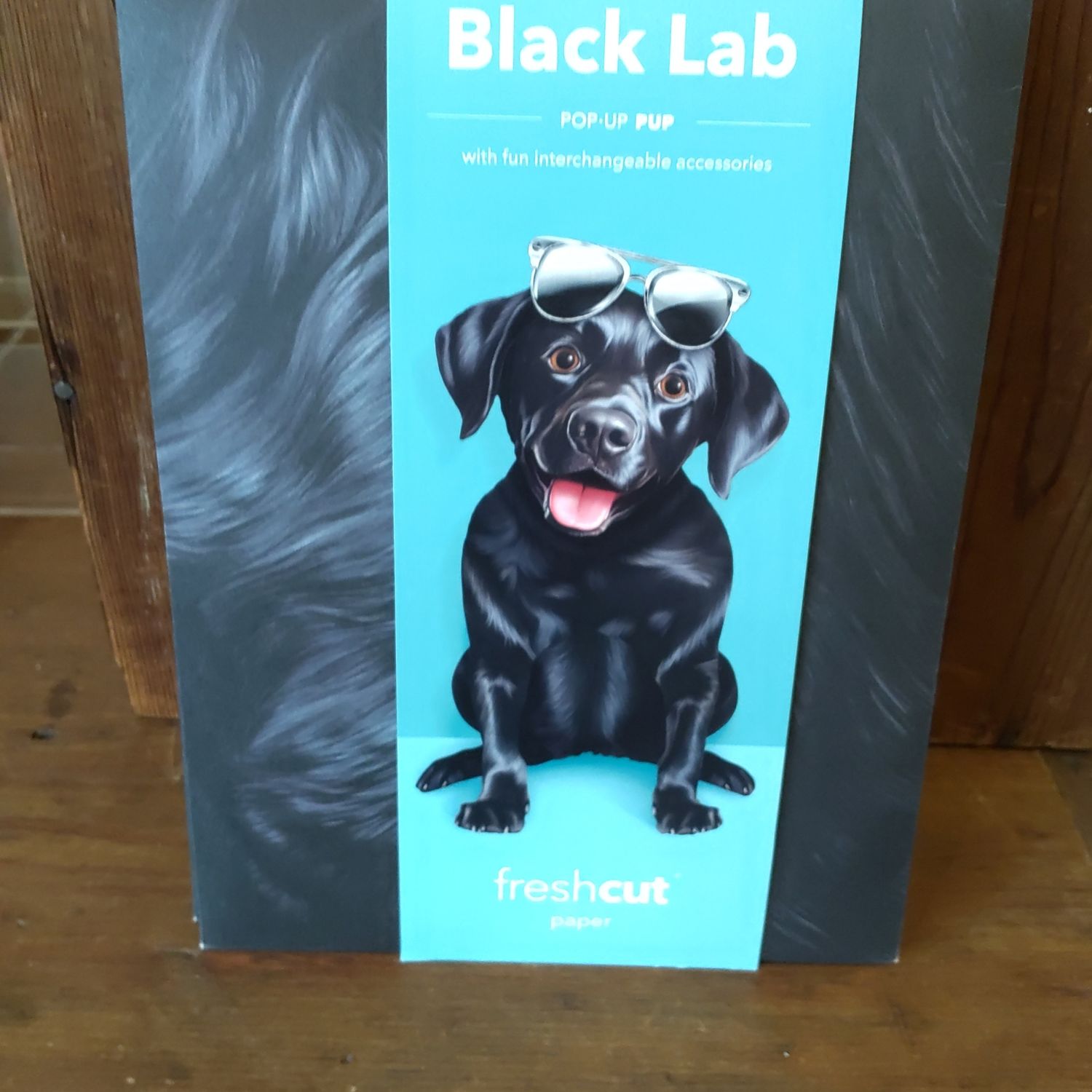 Freshcut Paper Black Lab Pop-Up Greeting Card