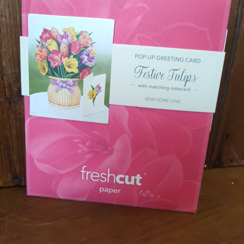 Freshcut Paper Pop Up Cards,Mini Festive Tulips