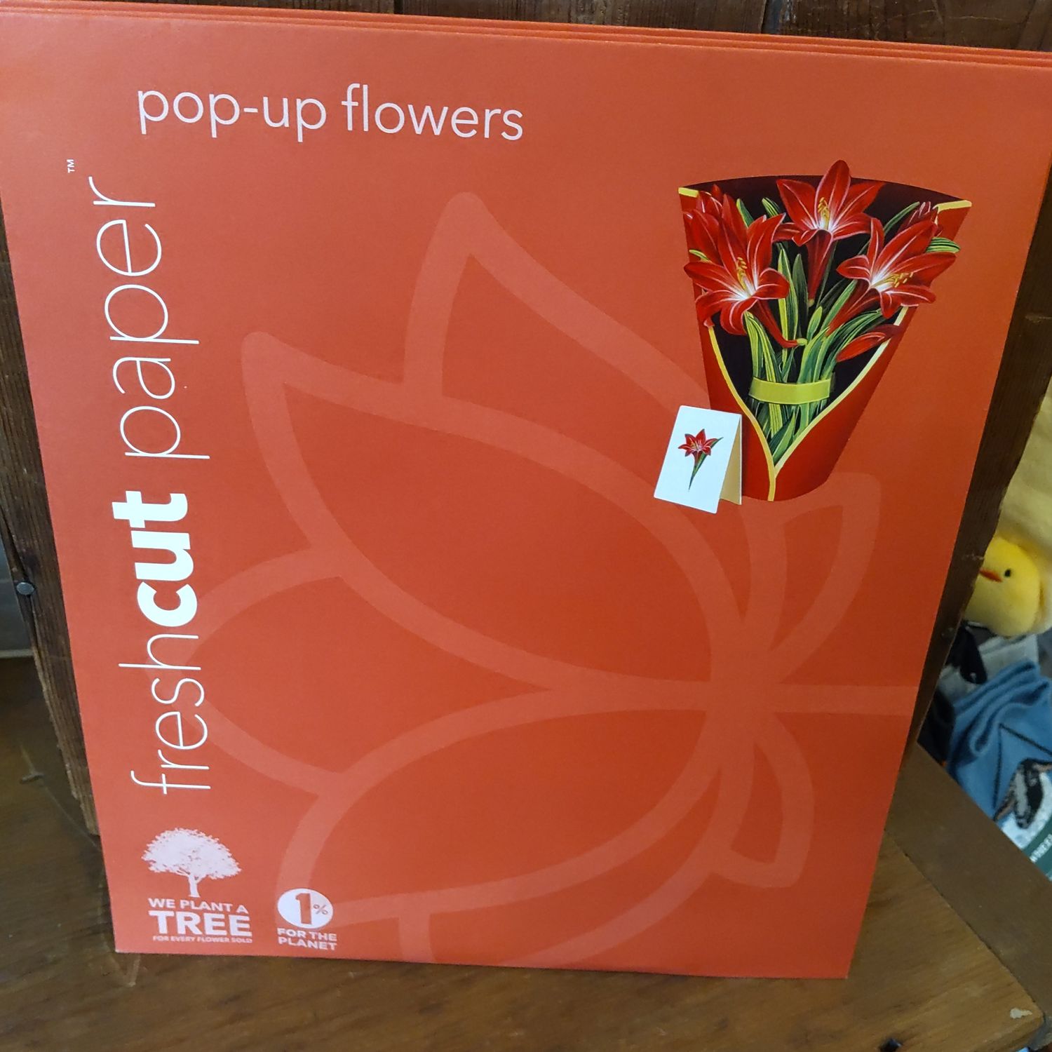 Freshcut Paper Pop Up Cards, Red Amarylis