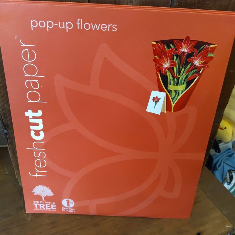 Freshcut Paper Pop Up Cards, Red Amarylis
