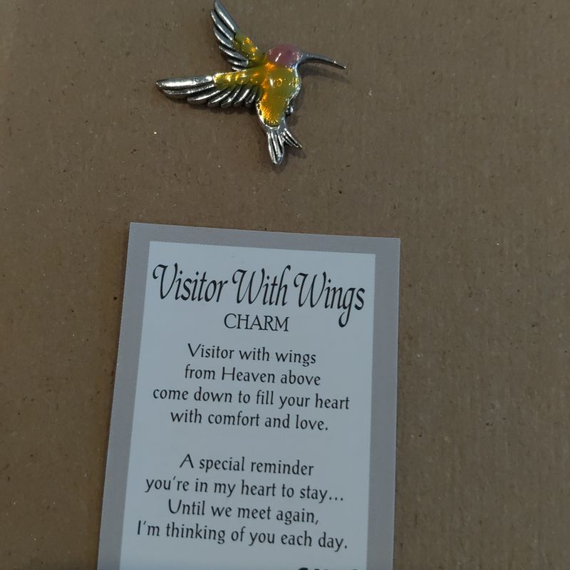 Hummingbird Visitor w/ wings