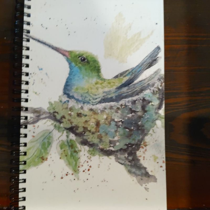 MW Journal Hummingbird