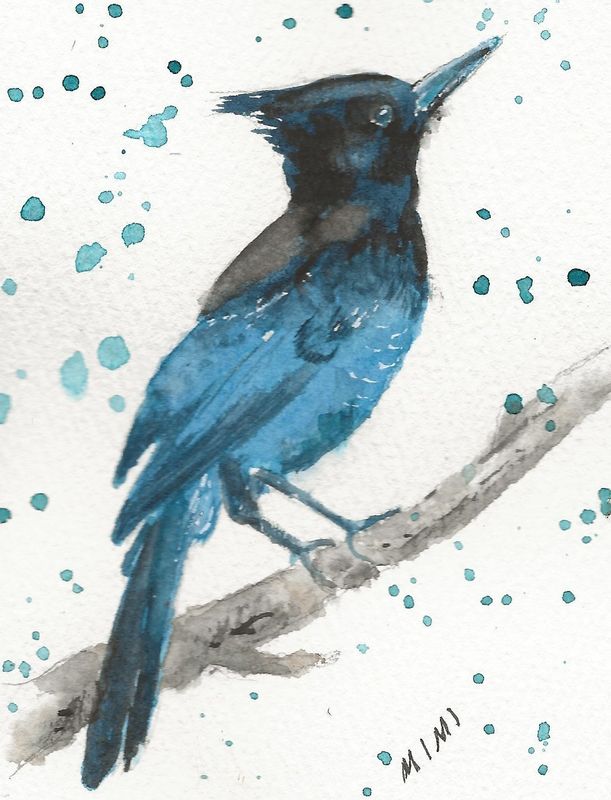 MW framed painting stellar jay