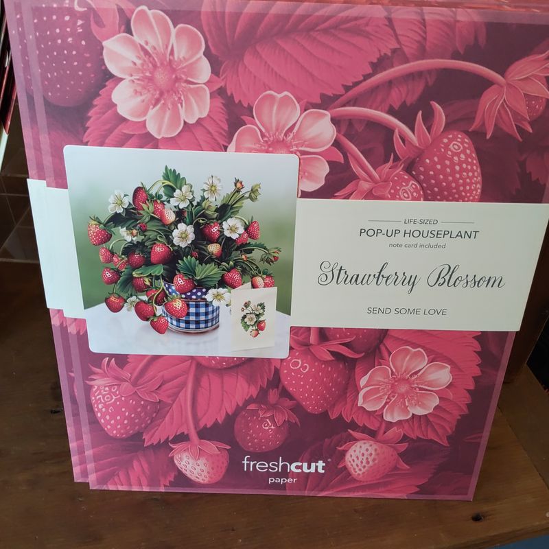 Freshcut Paper Pop Up Cards, Paper Flower Bouquet 3D Popup Greeting Cards with Note Card & Envelope, Birthday Card, Anniversary Card, Get Well Gifts for Women