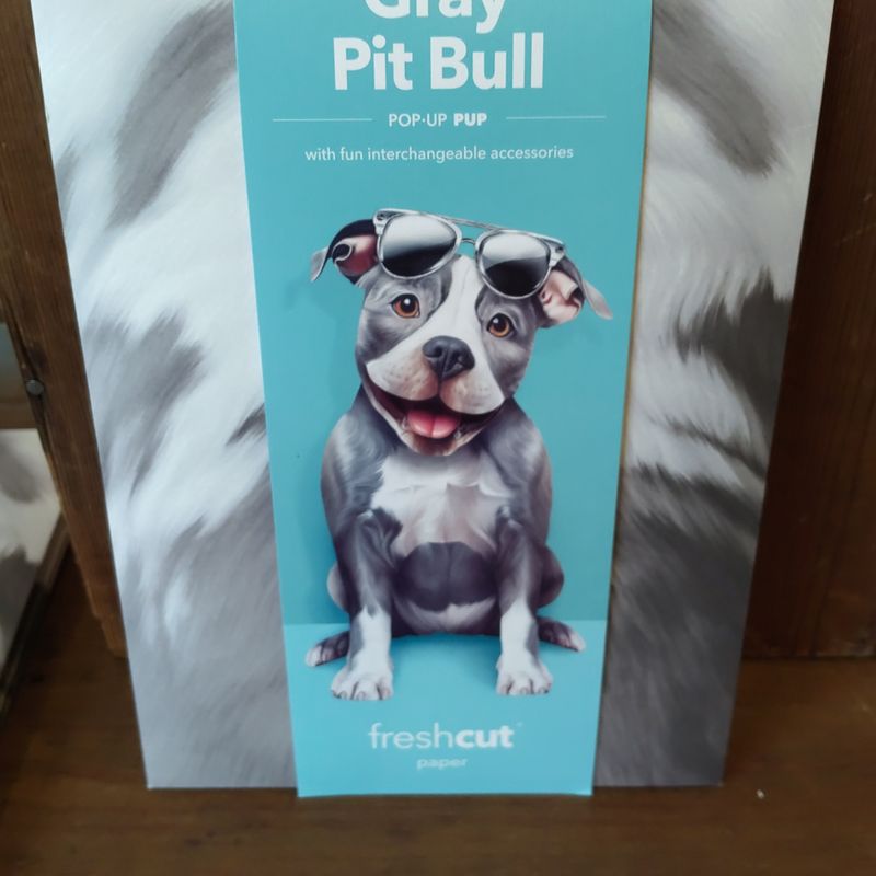 Freshcut Paper Pop Up Pet Cards, Gifts for Dog Lovers, Birthday Cards with Accessory Sheet, Note Card & Envelope, 3D Popup Greeting Card