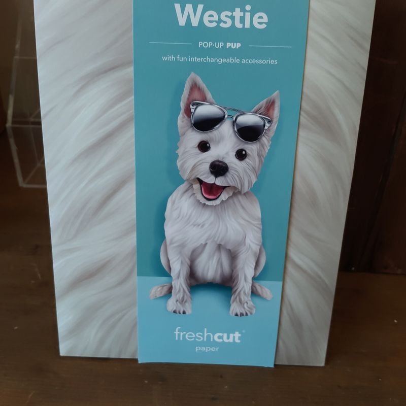 Freshcut Paper Pop Up Pet Cards, Gifts for Dog Lovers, Birthday Cards with Accessory Sheet, Note Card & Envelope, 3D Popup Greeting Cards