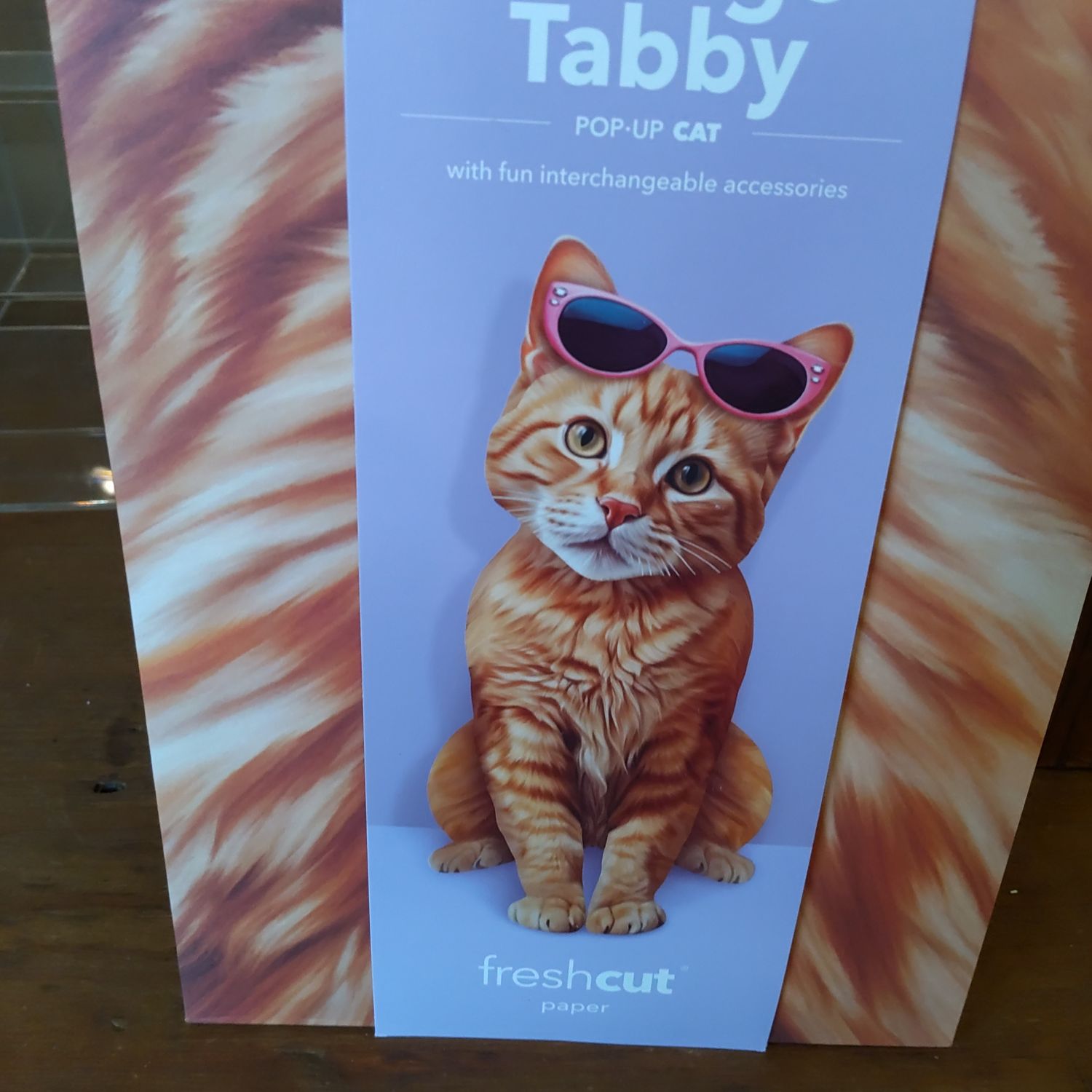 Freshcut Paper Pop Up Pet Cards, Gifts for Cat Lovers, Birthday Cards with Accessory Sheet, Note Card & Envelope, 3D PopUp Greeting Cards