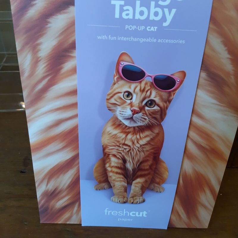 Freshcut Paper Pop Up Pet Cards, Gifts for Cat Lovers, Birthday Cards with Accessory Sheet, Note Card & Envelope, 3D PopUp Greeting Cards