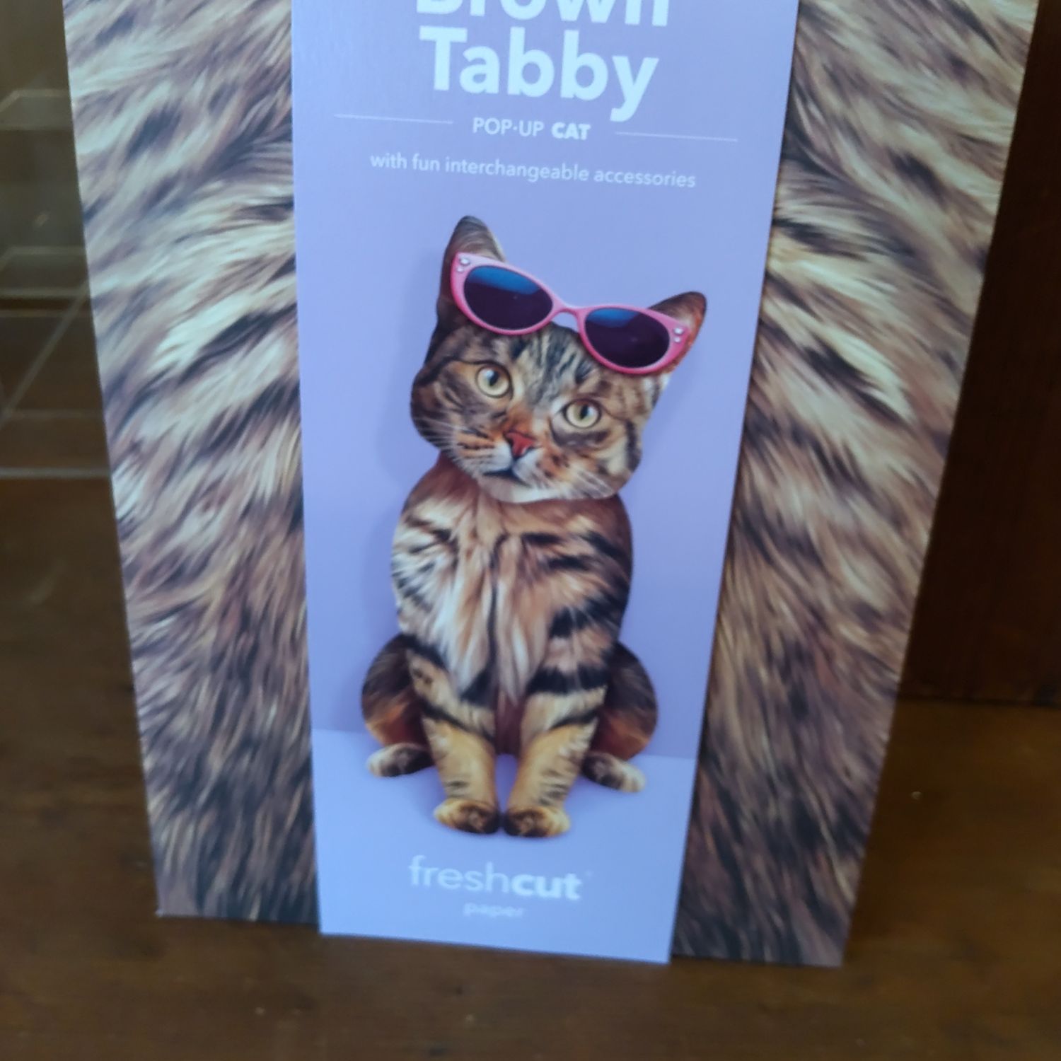 Freshcut Paper Brown Tabby Pop-Up Greeting Card