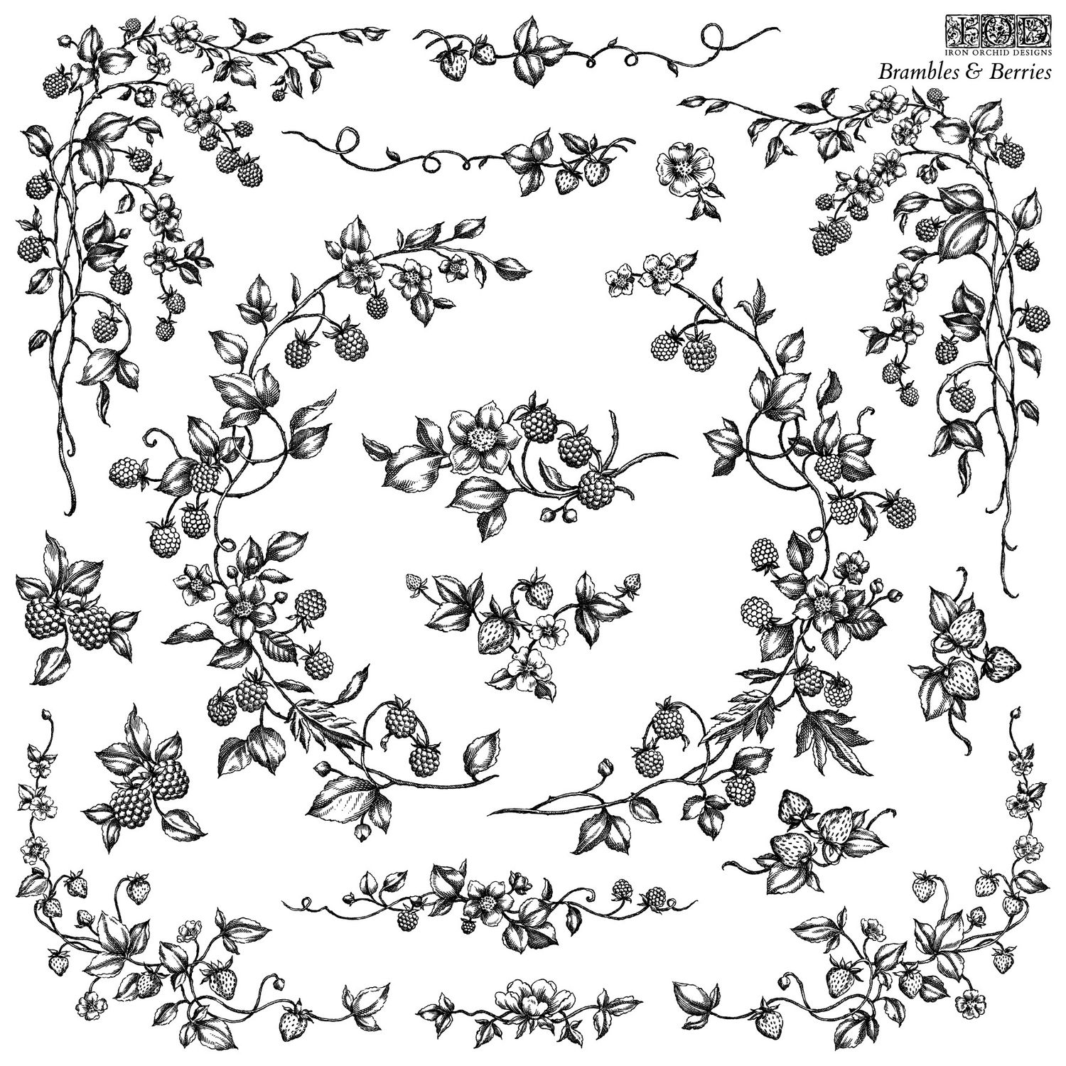 Brambles & Berries Decor Stamp by Iron Orchid Design, IOD