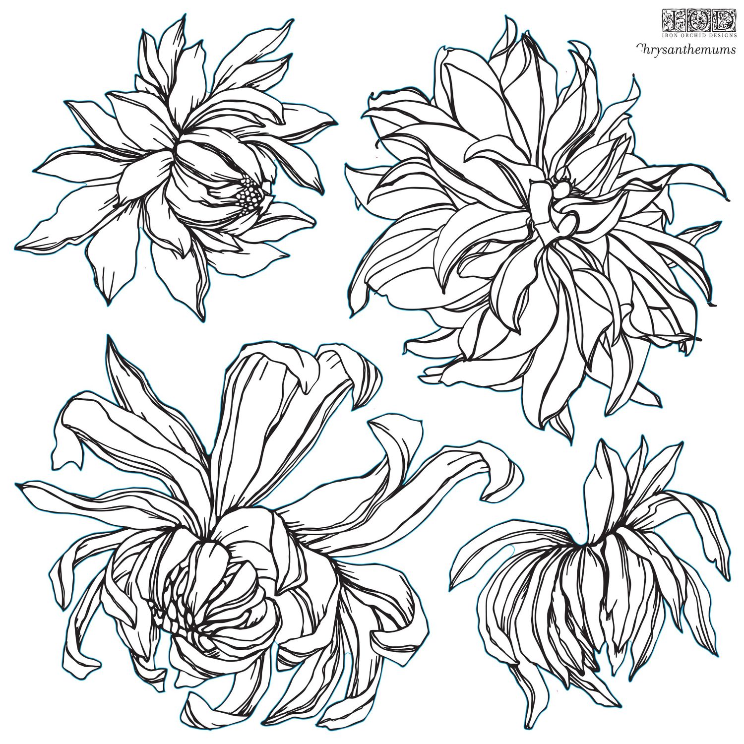 Chrysanthemums Decor Stamp by Iron Orchid Design, IOD