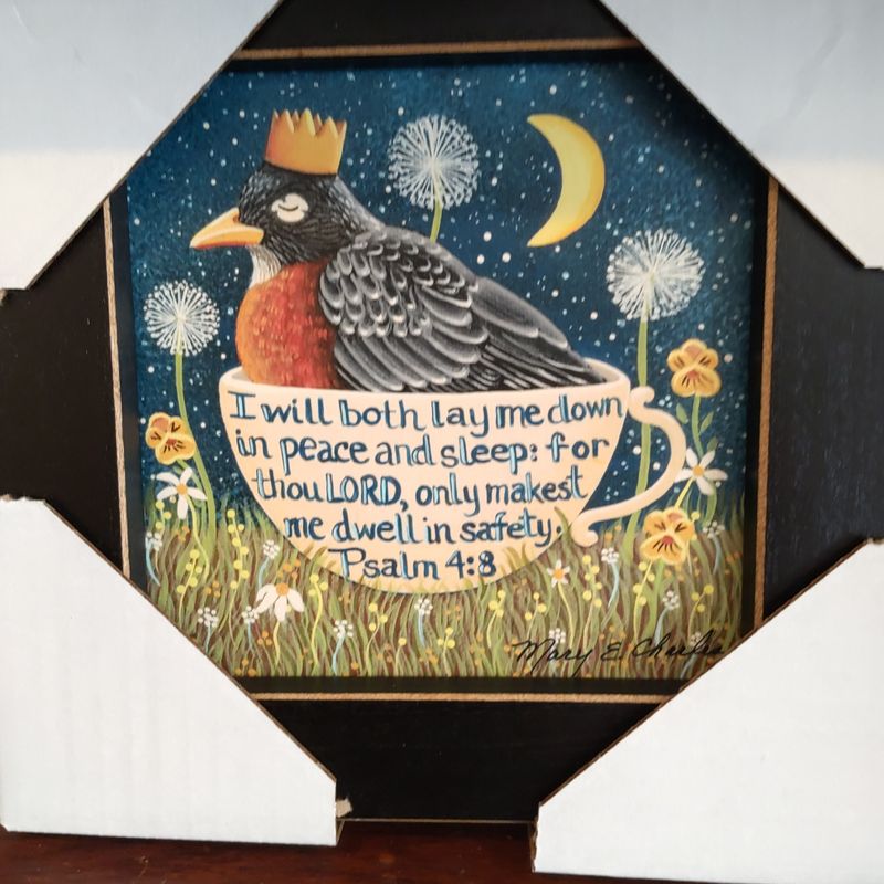 Mc Resting Robin 6x6