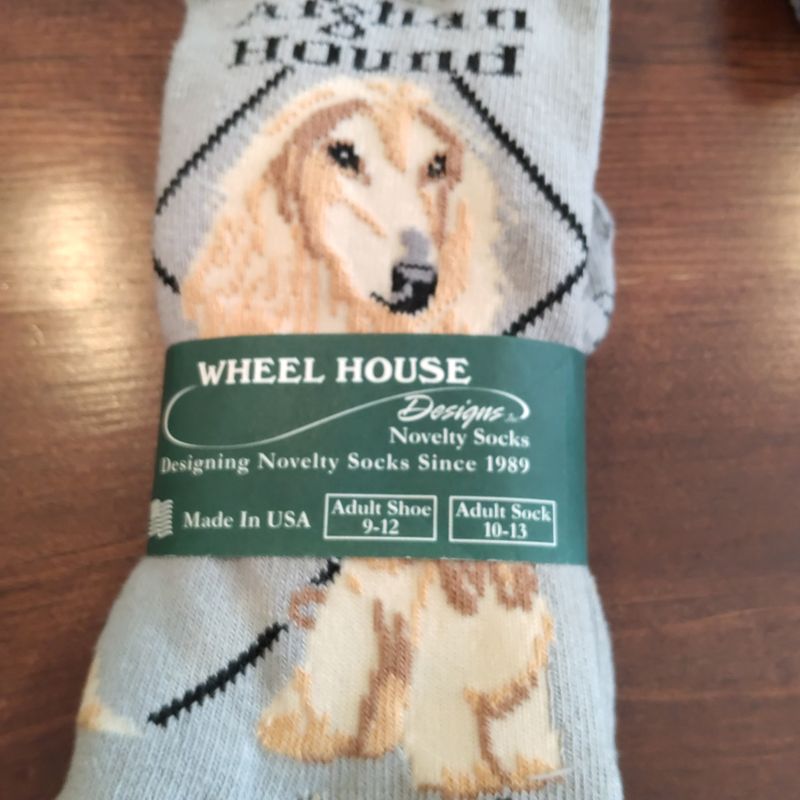 Afghan Hound on Gray Socks