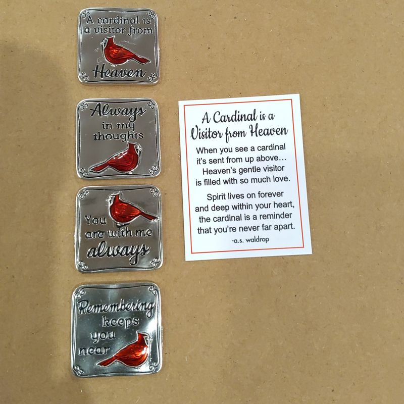 A Cardinal is a Visitor from Heaven