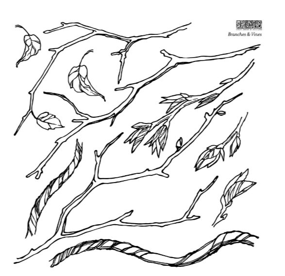 Branches & Vines