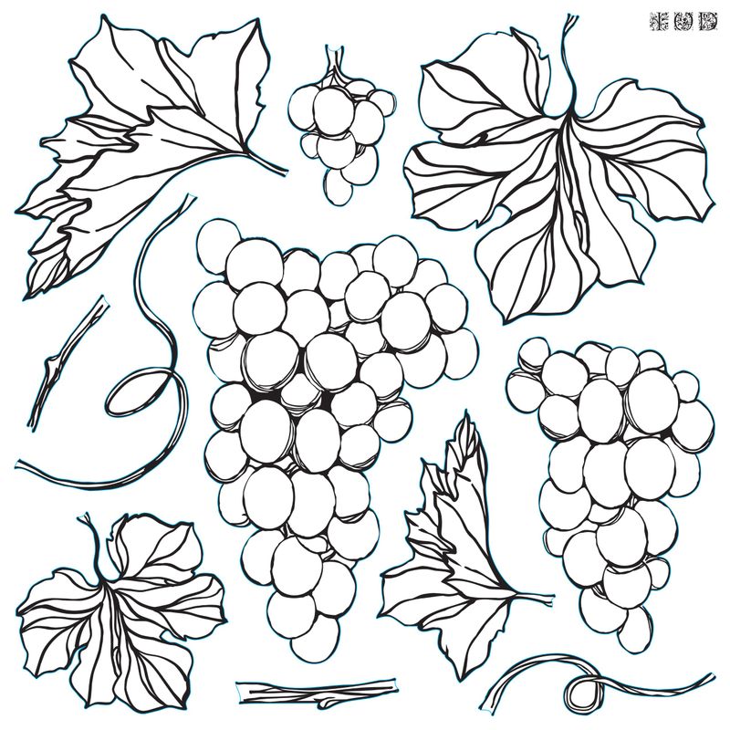 Grapes Decor Stamp by Iron Orchid Design, IOD