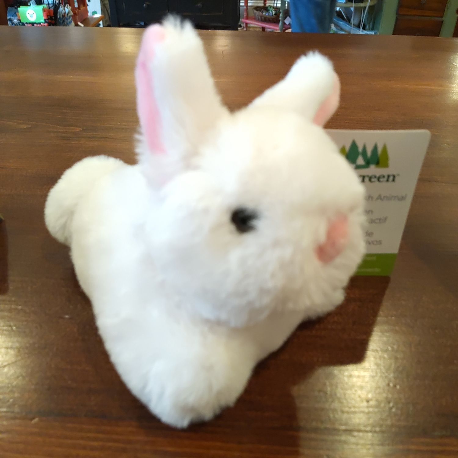 Evergreen White Stuffed Bunny