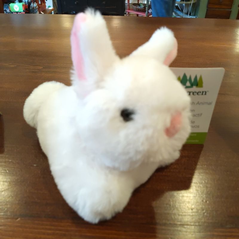 Evergreen White Stuffed Bunny