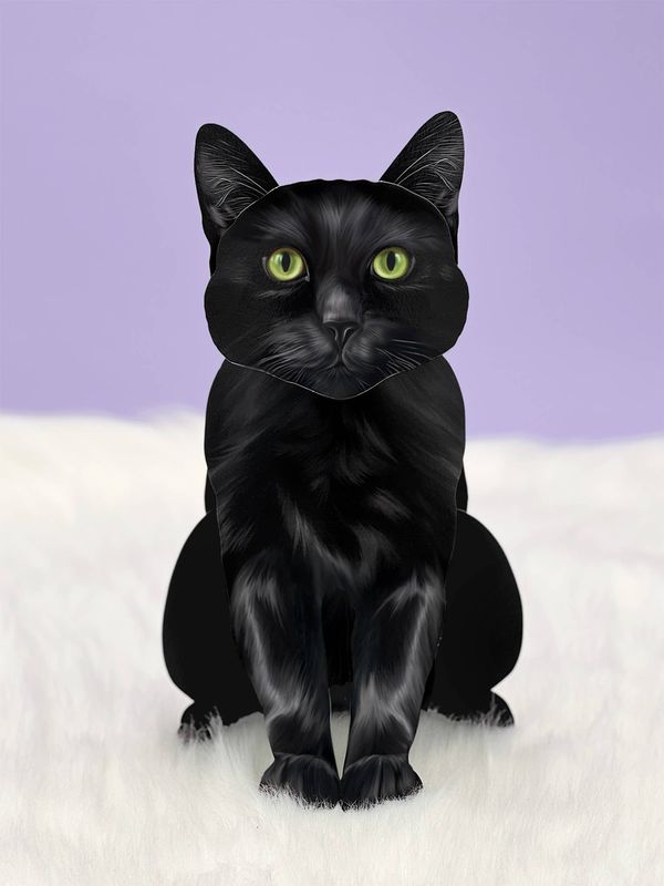 Black Cat (6 Pop-up Greeting Cards)