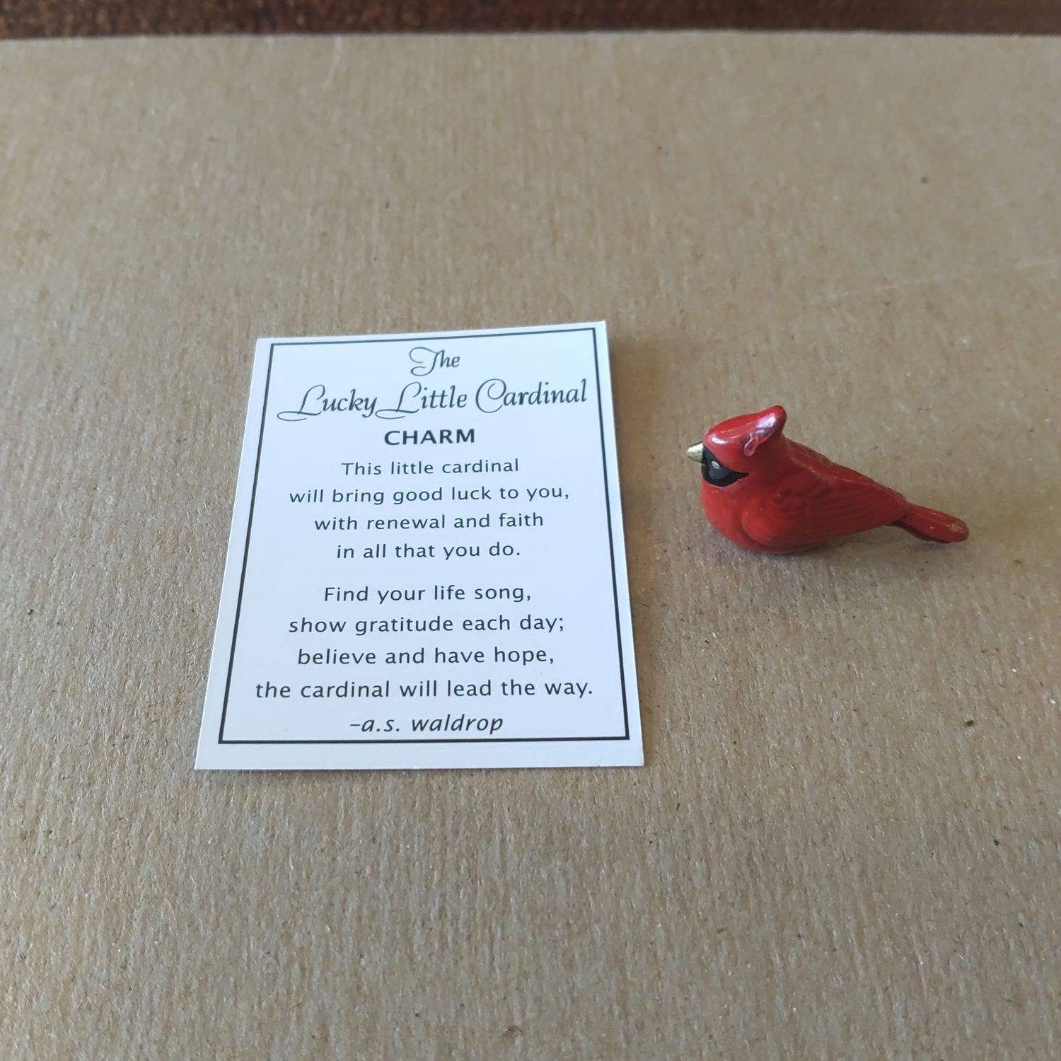 Lucky Little Cardinal