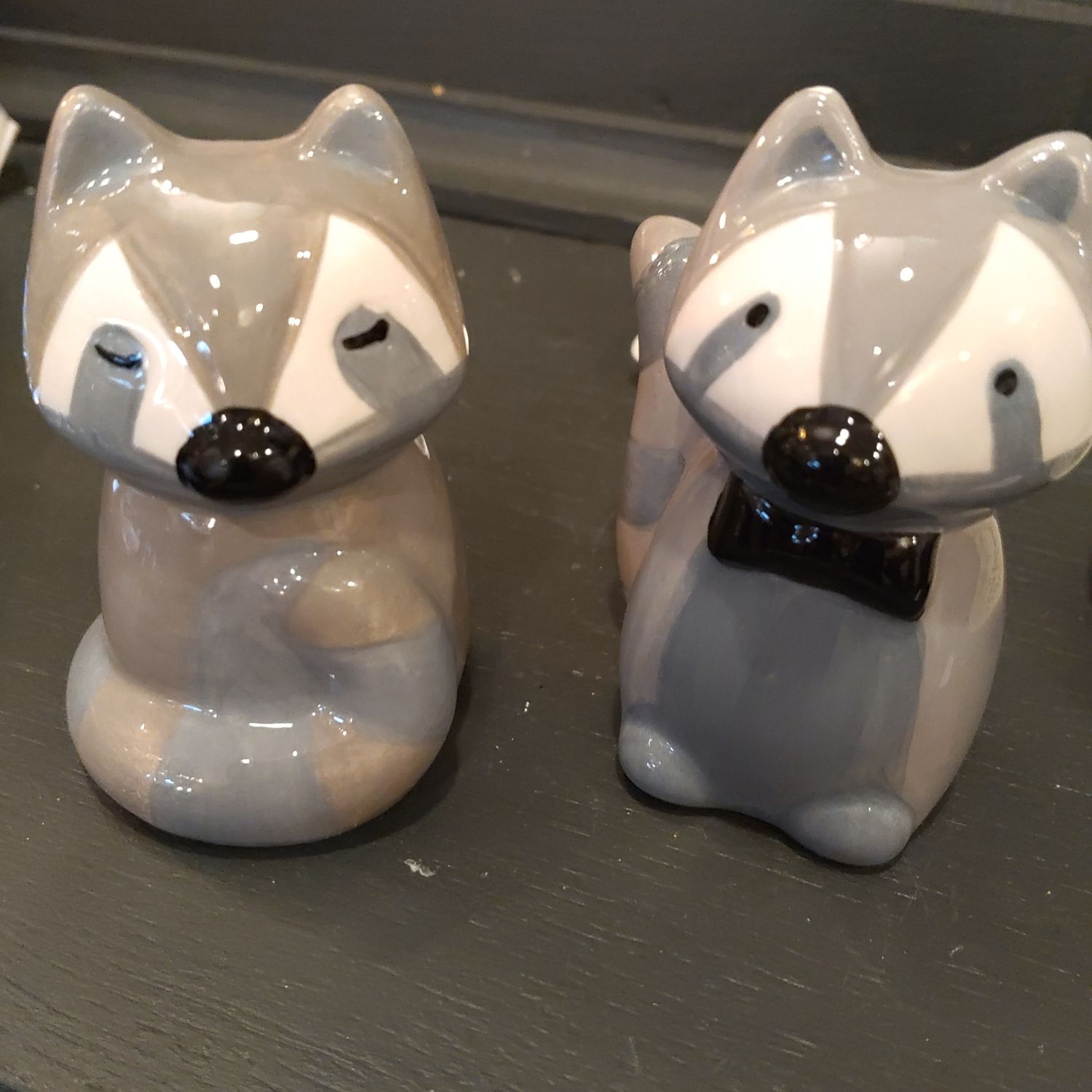 Raccoon Salt N Pepper