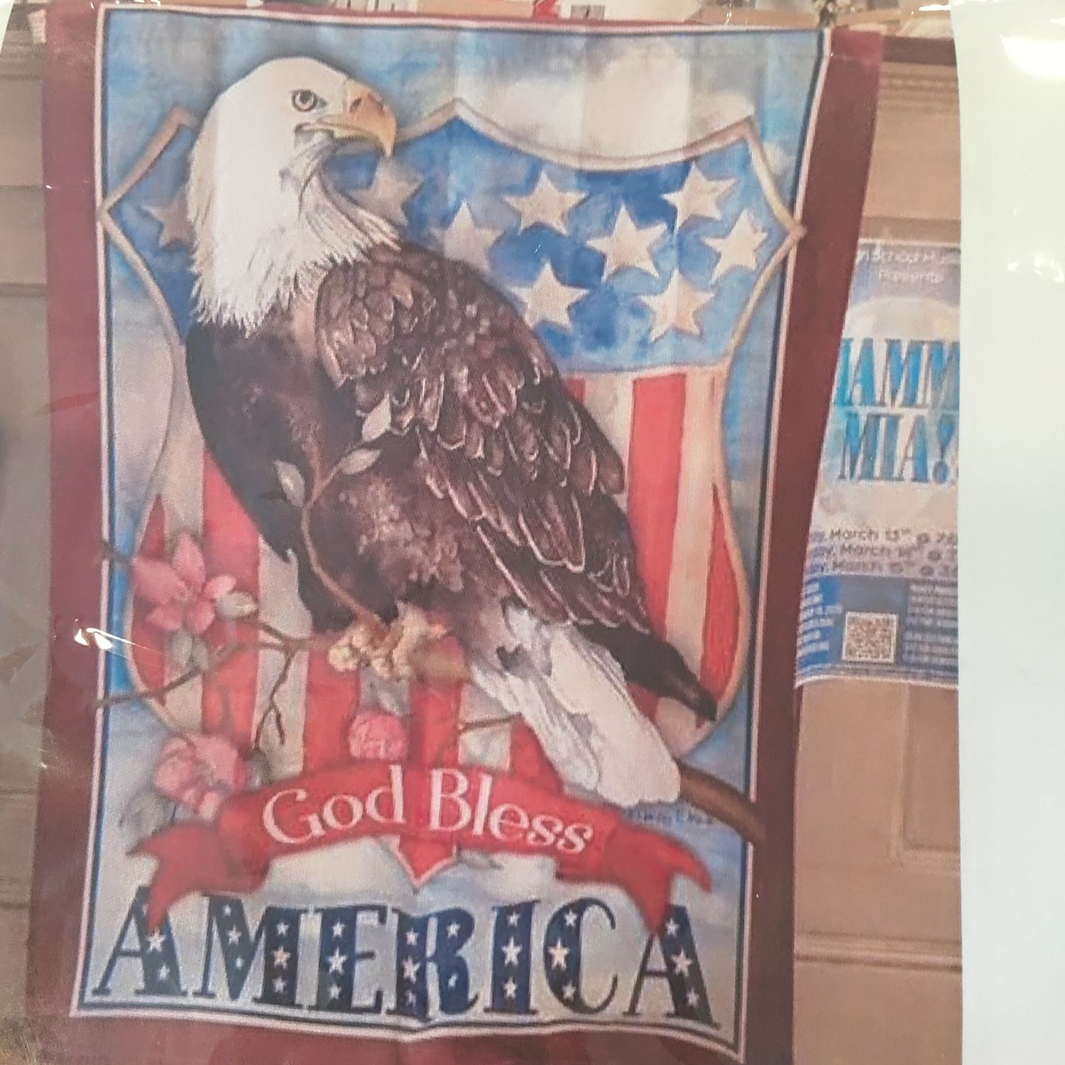 Flag Eagle America