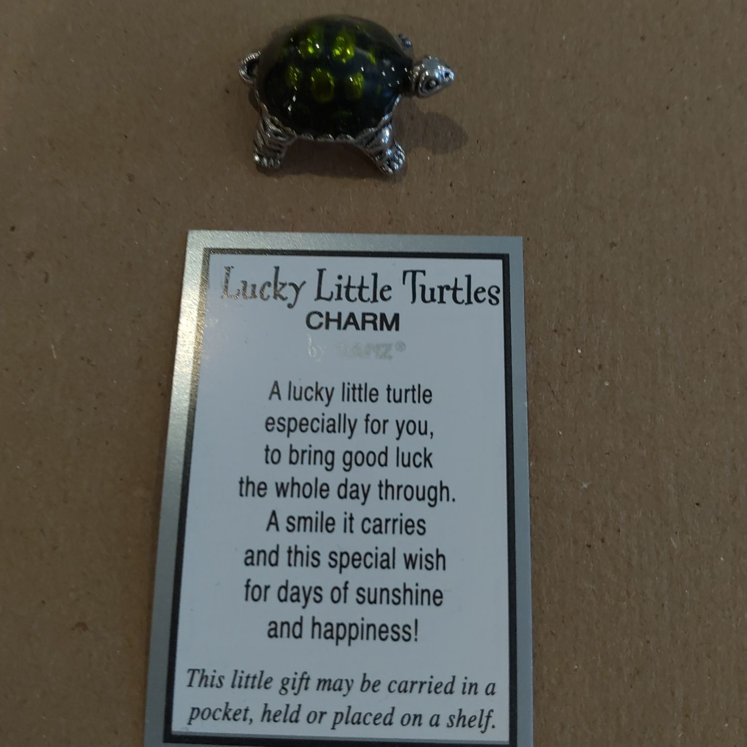 Lucky Little Turtle
