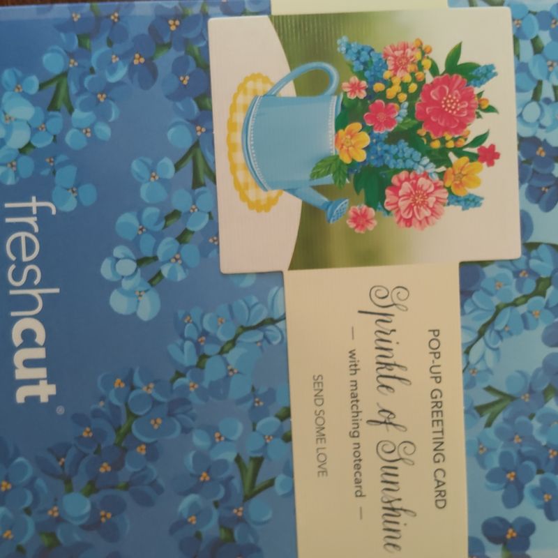 Sprinkle Of Sunshine