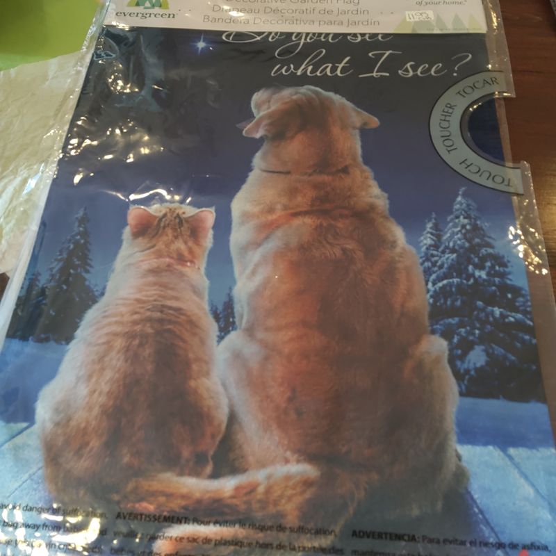 Do You See What I See Garden Lustre Flag