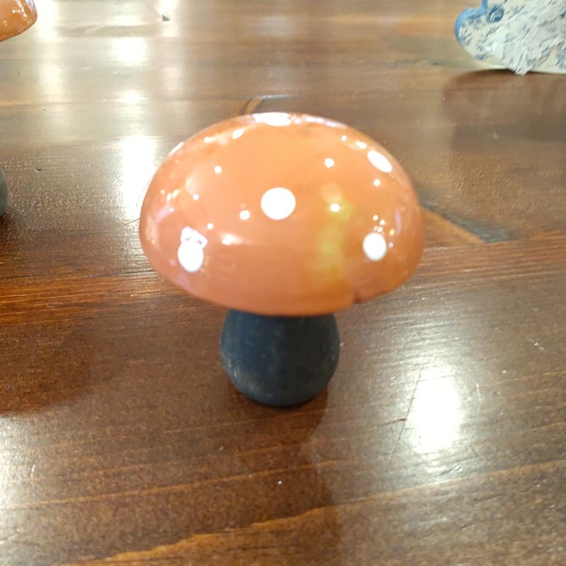 Wooden Mushroom Medium