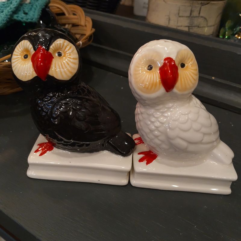 Owl Salt N Pepper