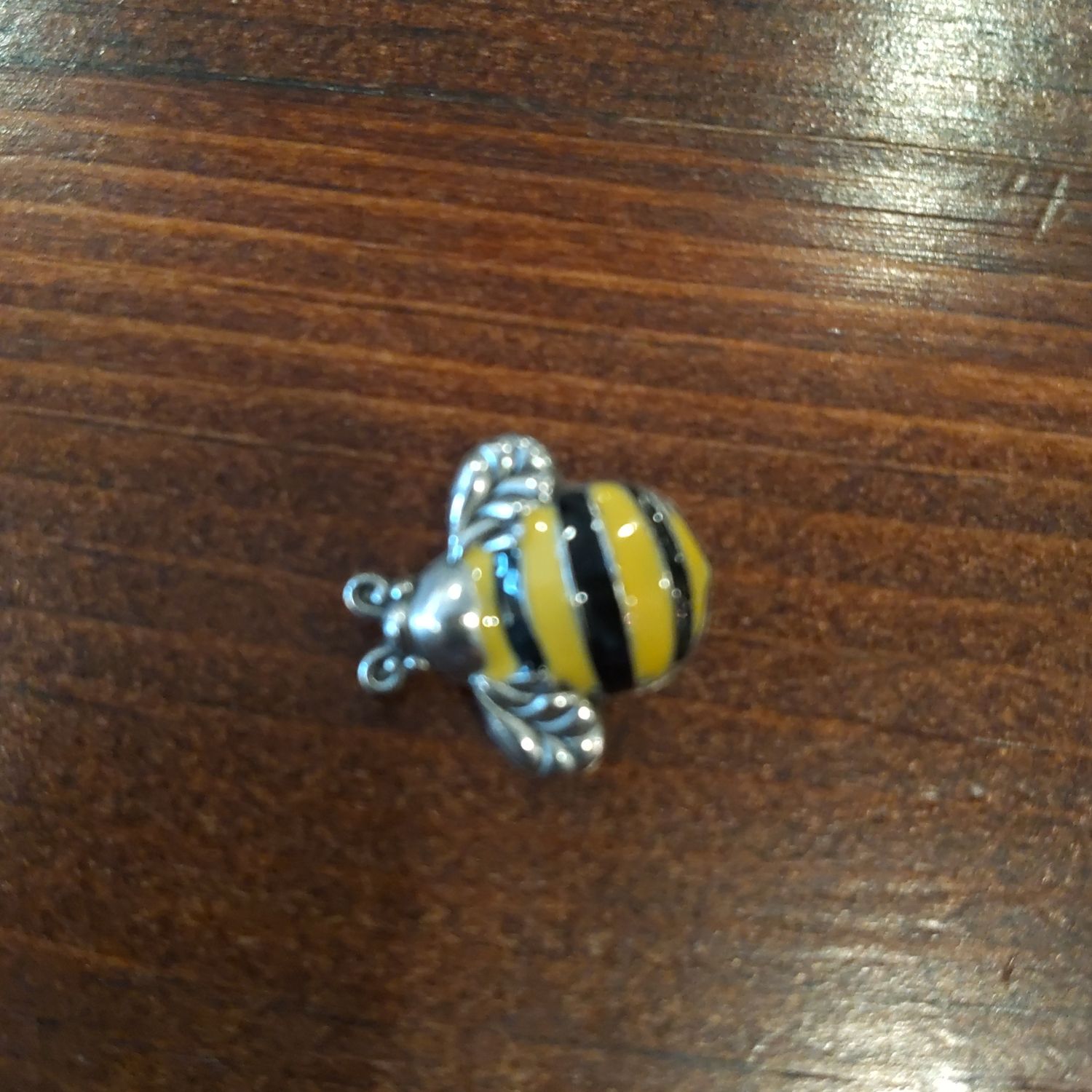 The Bumble Bee Cannot Fly