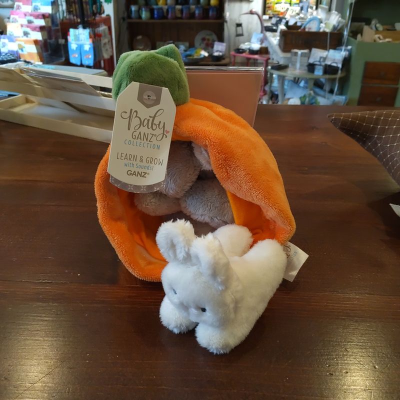 Carrot Learn & Grow With Soinds