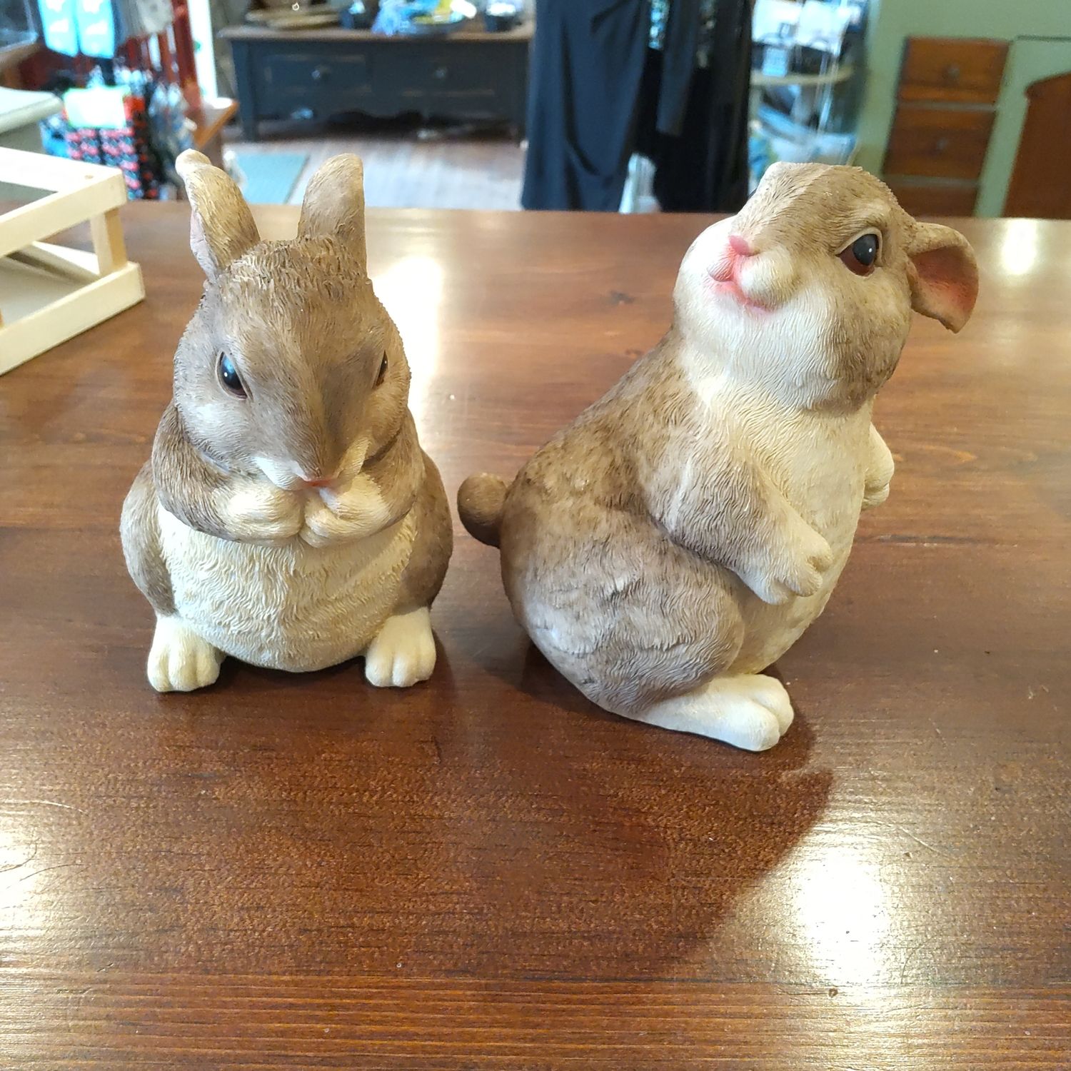 Resin Rabbit