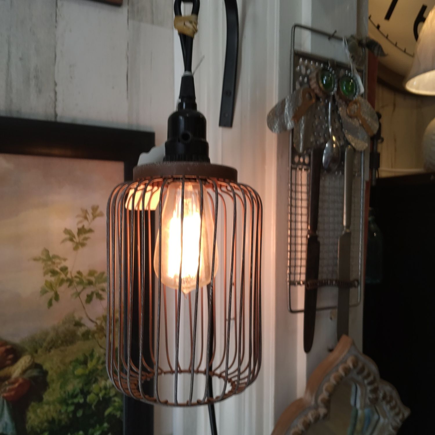Lamp Hanging Cage