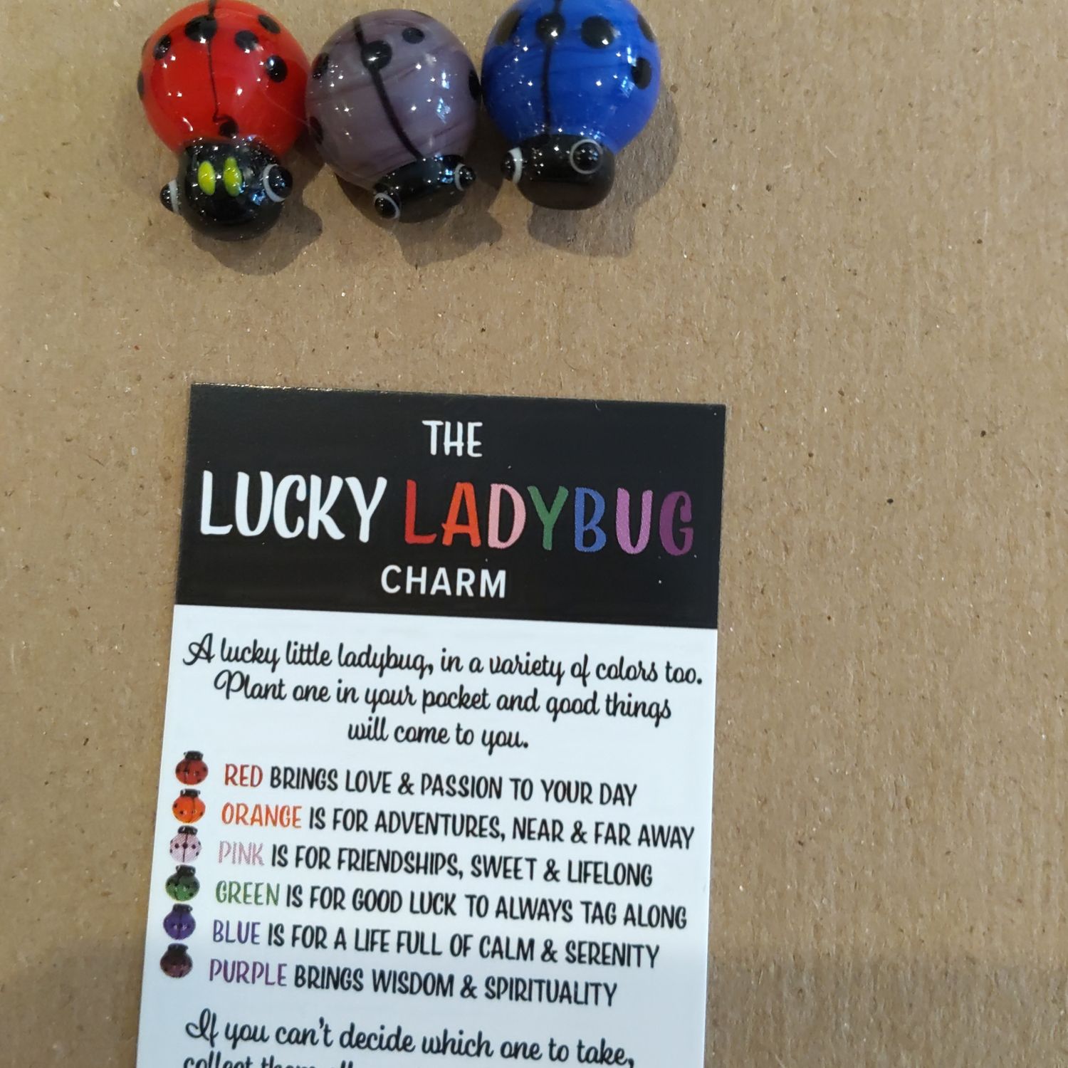 Ladybug Lucky