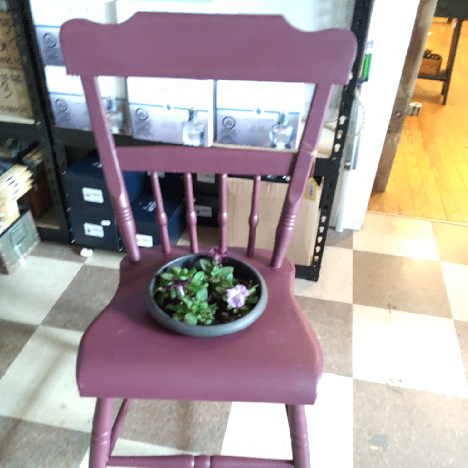 Chair Purple Potted plant
