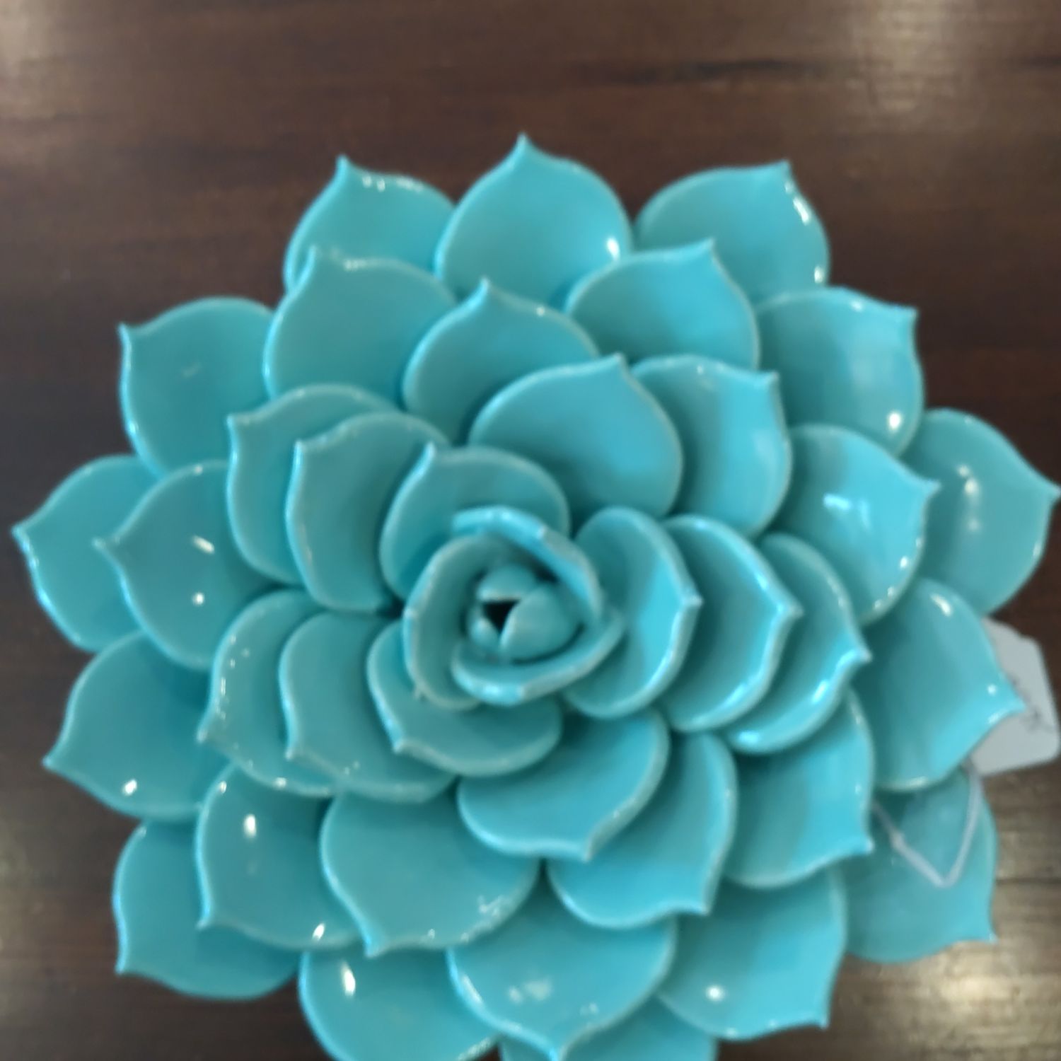 Porcelain Lotus 