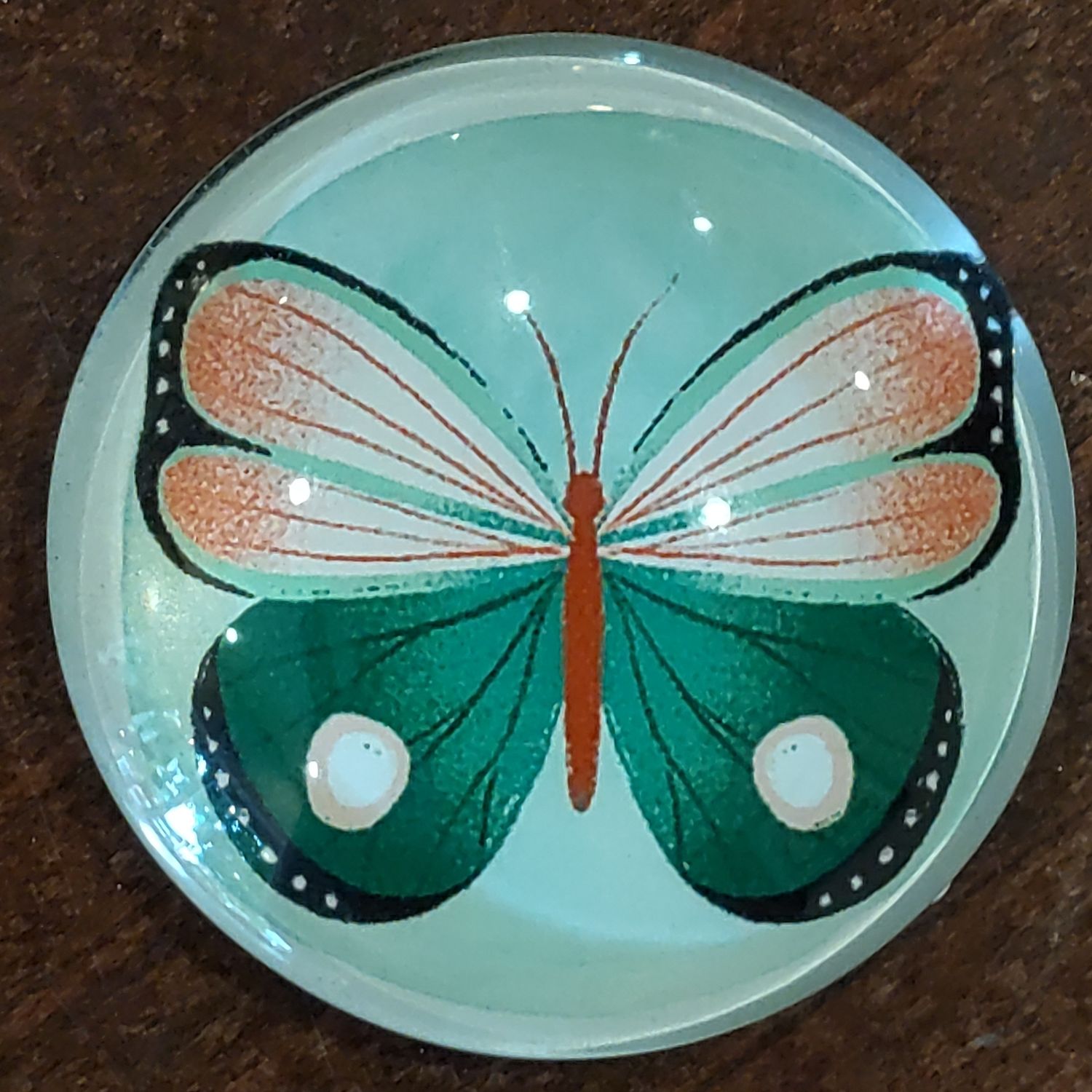 Butterfly Magnet