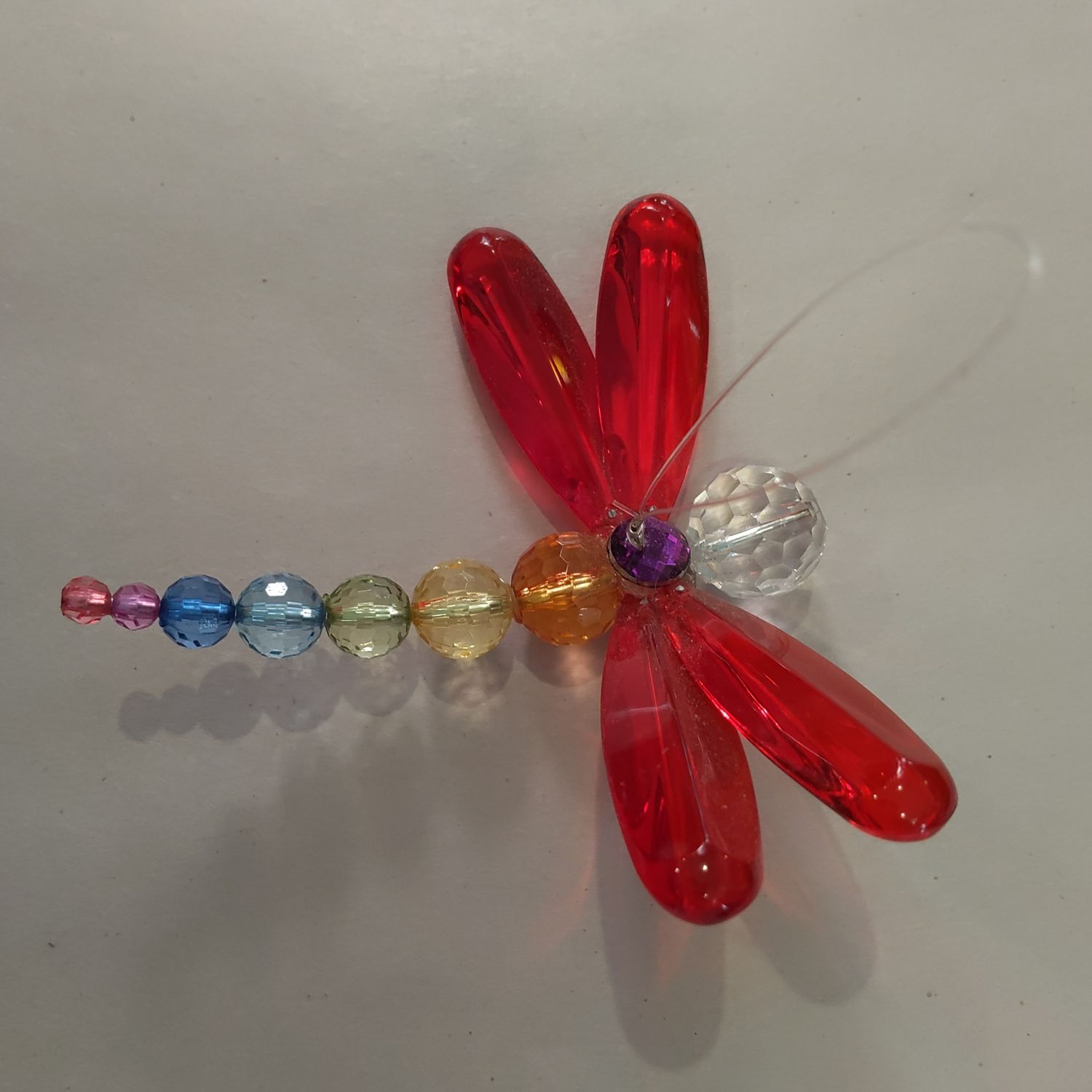Rainbow Dragonfly 