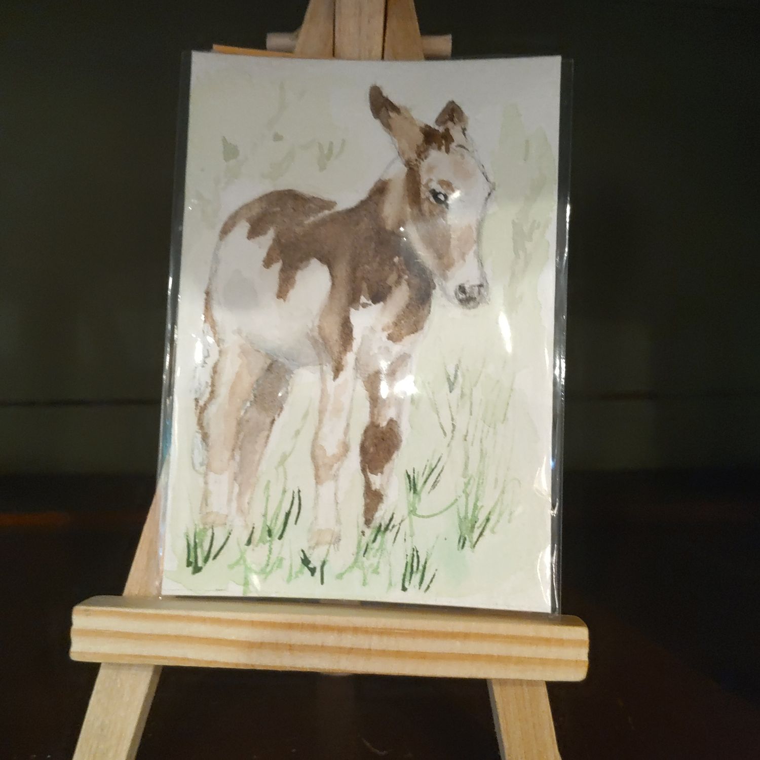 MW Aceo Burro