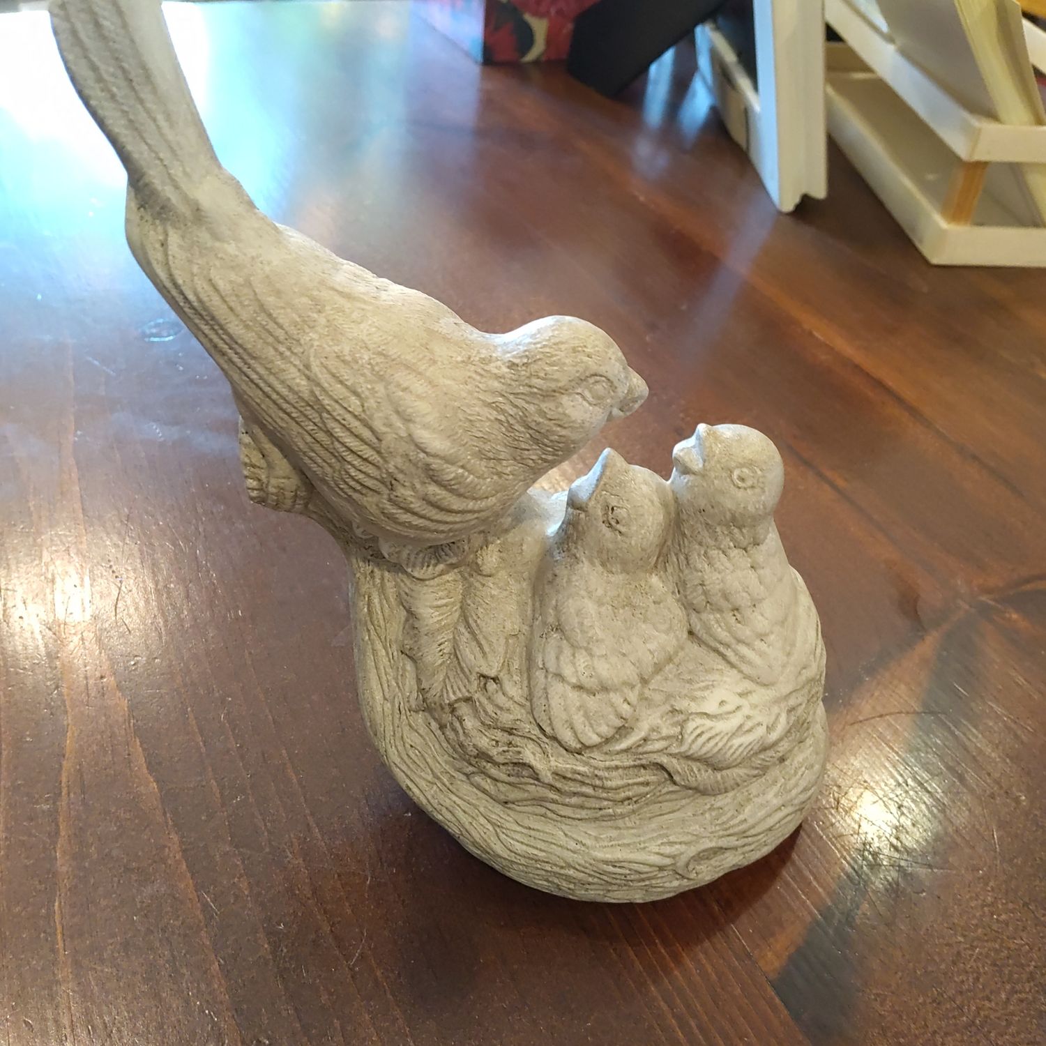 Kc Bird With Babies
