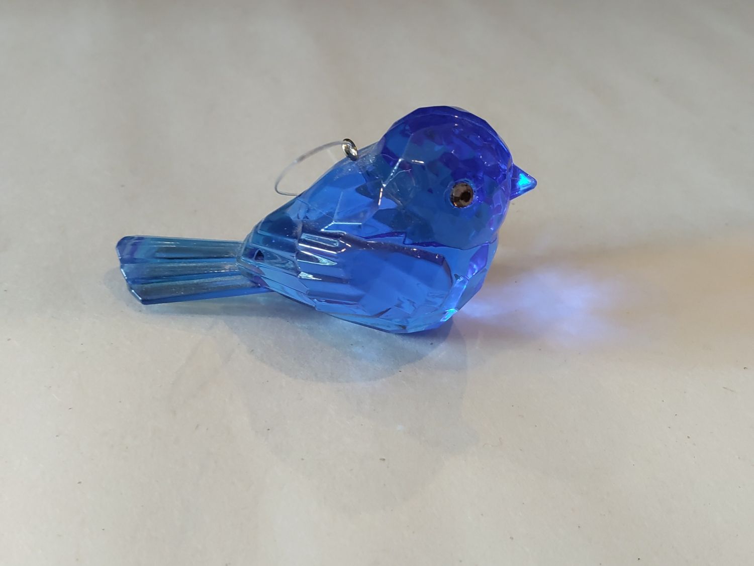 Royal Blue Bird