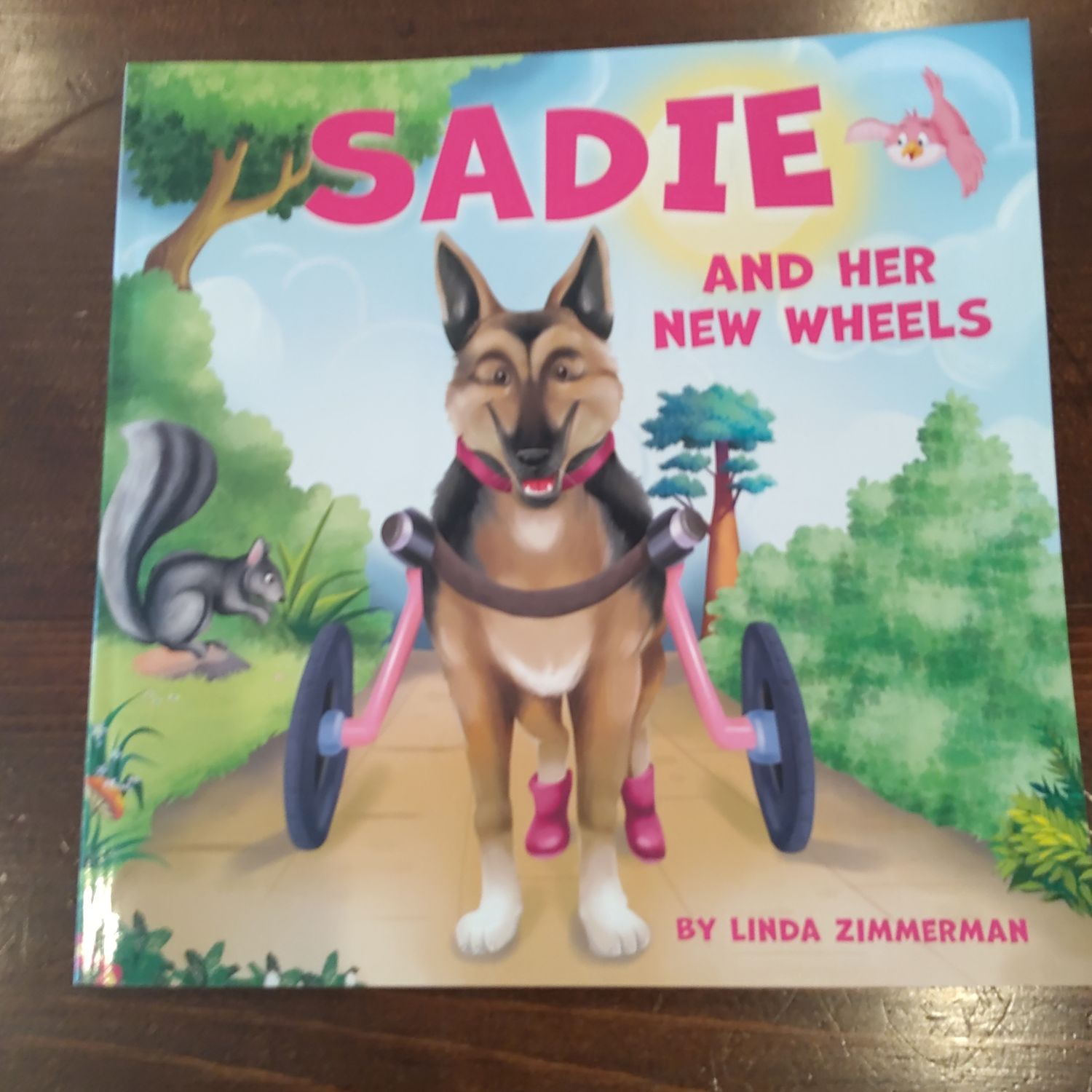 Sadie And Her New Wheels