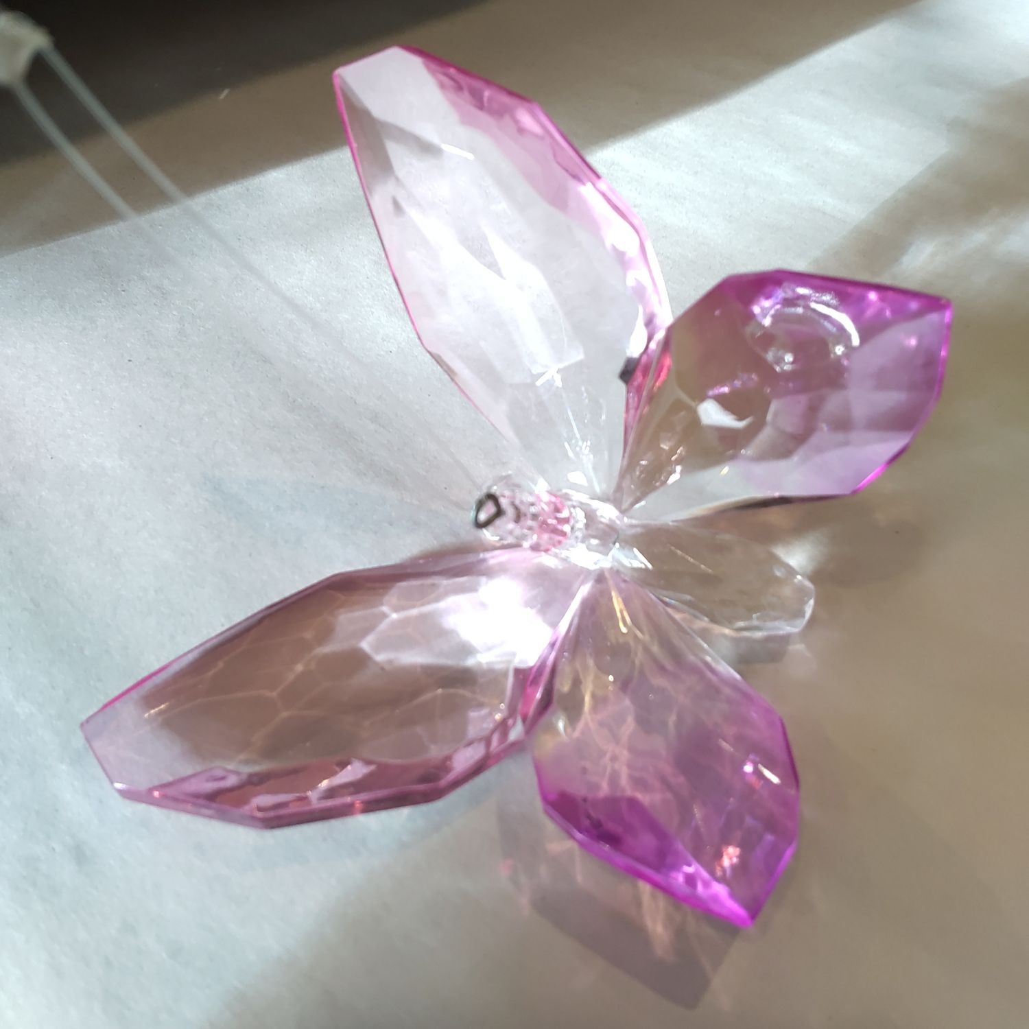 Pink Butterfly
