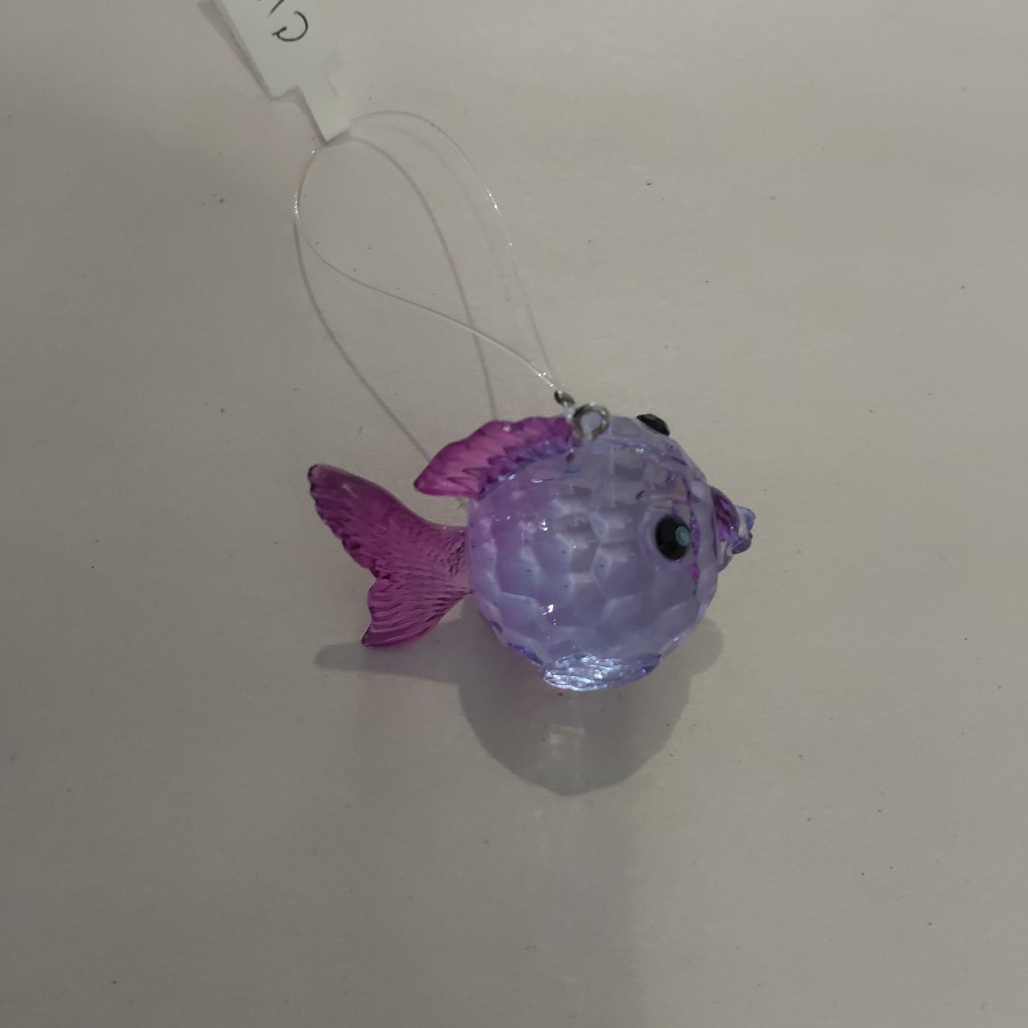 Purple Fish