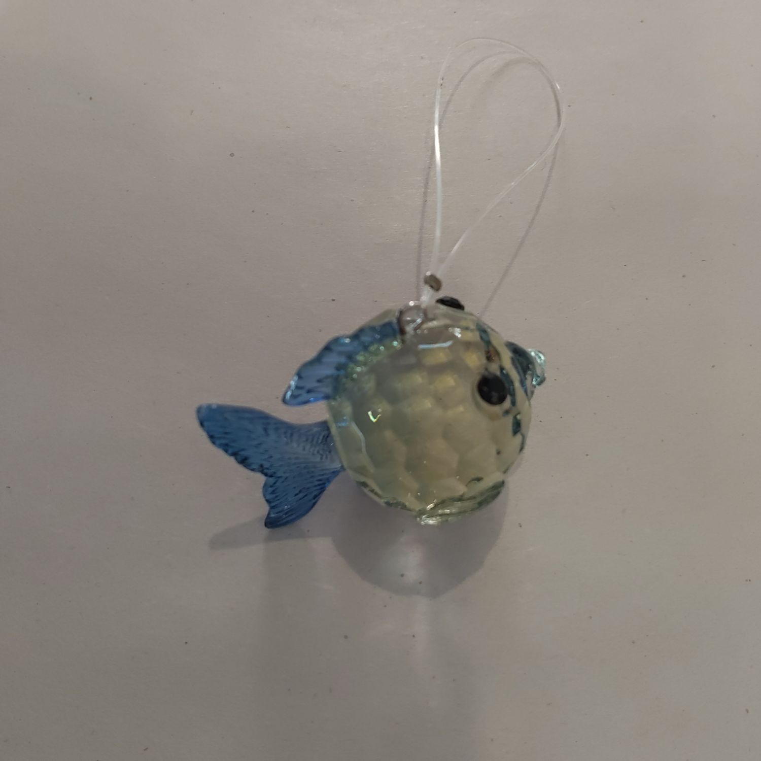 Blue Fish