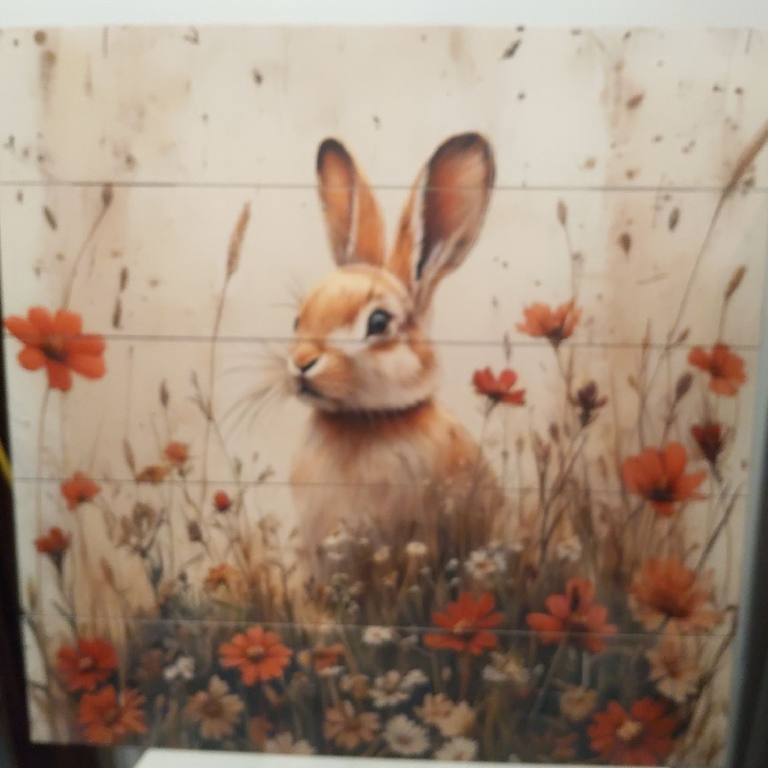 Rabbit In Flowers Pic