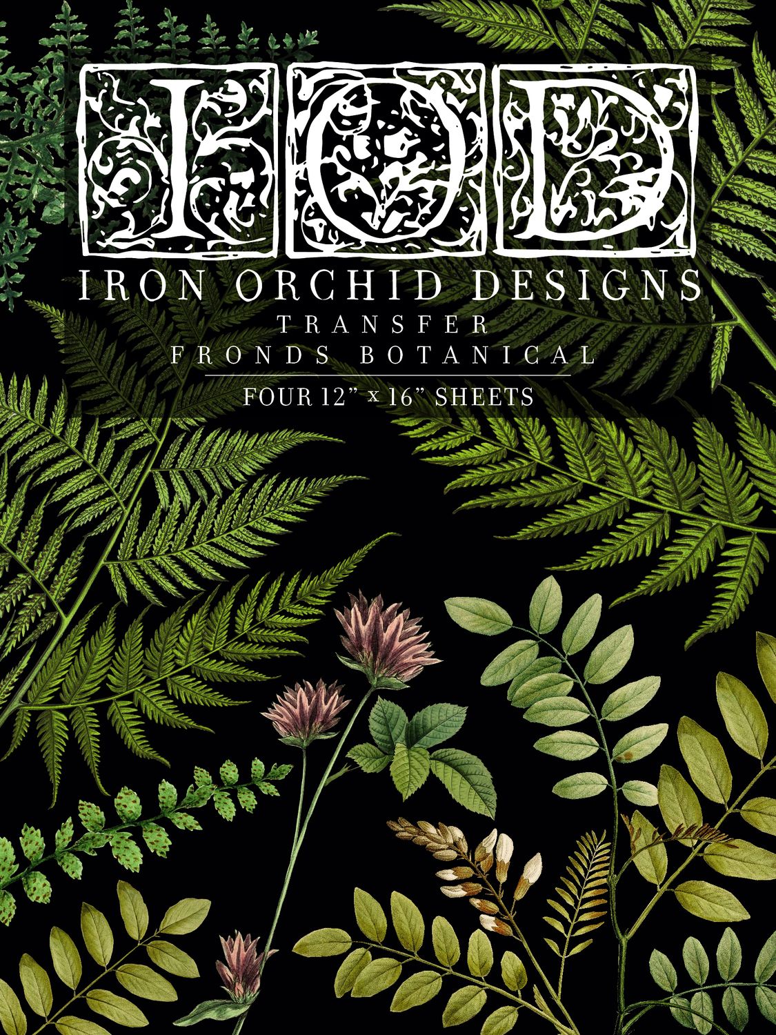 Fronds Botanical 12x16