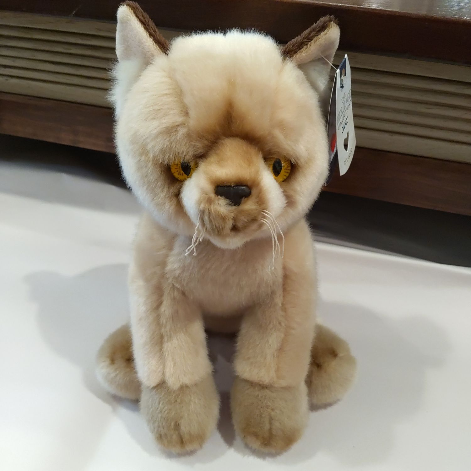 Ganz Burmese Cat 